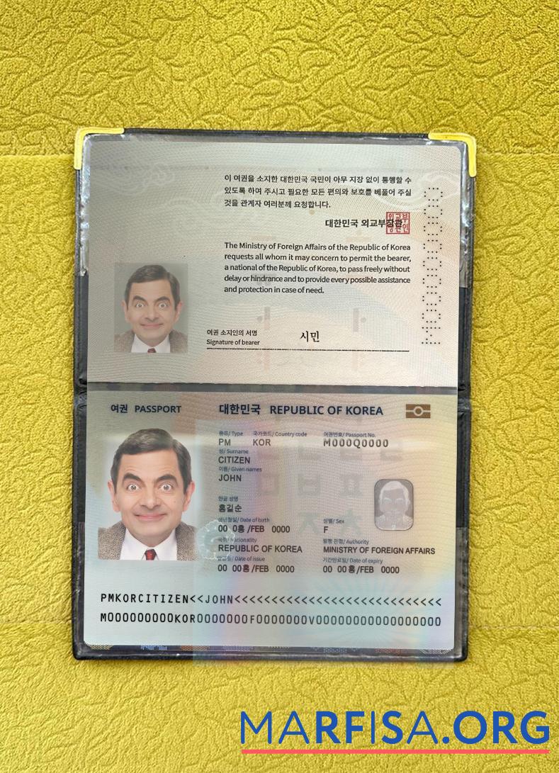 Realistic Korea passport 2022 present photolook sample